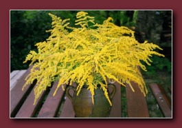 Kliknite za pove�avo slike